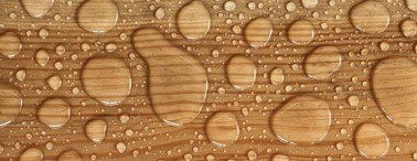 Moisture is the Culprit in Most Home Repairs