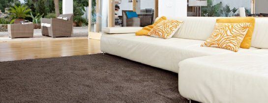 Brown Plush Carpet