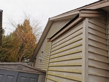 Cost of replacing the siding 