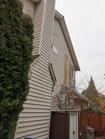 Cost of replacing the siding 