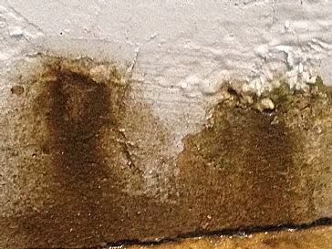 What is the cost to fix concrete wall leak?