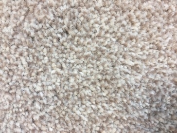 Cost for carpet installation