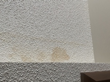 Is this Mould? What do I do next?