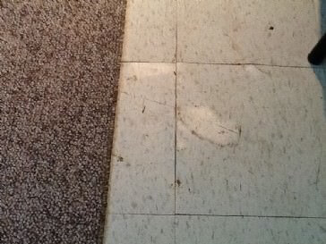 How much to level concrete floor?