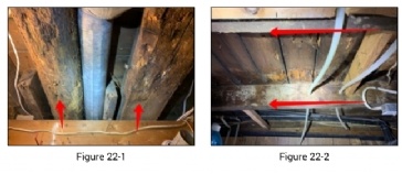 Dry Rotted joists - Replacement or sistering?