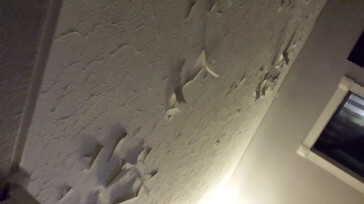 Cause of flaking ceiling