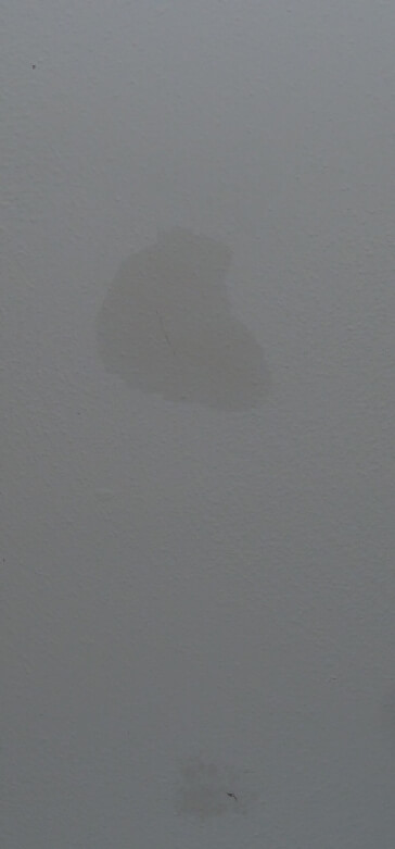 What could be causing these odd, slowly spreading stains on my bedroom ceiling?