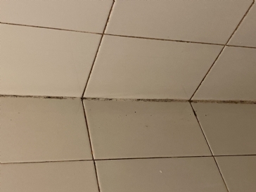 Suggestions for cleaning grout and removing mold?
