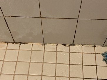 Suggestions for cleaning grout and removing mold?
