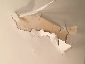 What is causing my ceiling paint to peel?