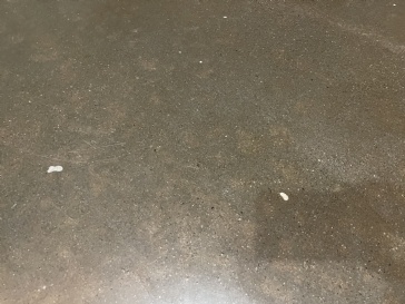White Spots Coming Up on Epoxied Interior Cement Floor