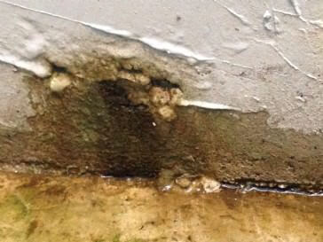 What is causing concrete wall leak?