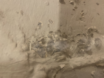 Frost on concrete foundation interior wall