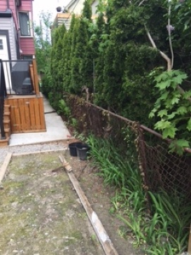 New wood fence with accessibility / tree root problems