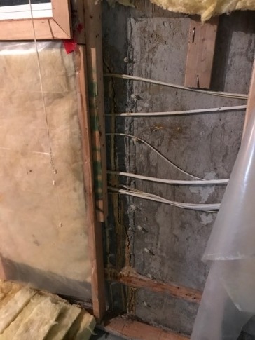 Feedback and advice on vertical foundation crack
