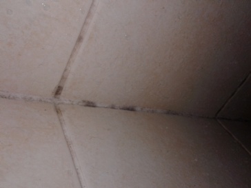 Grout and the ceramic tiles in the shower stall
