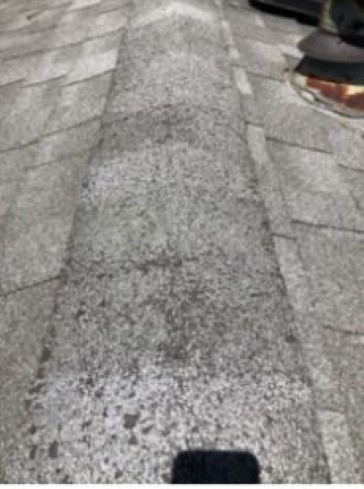Buying a house. Roof has several leaks and has heavy granule loss.