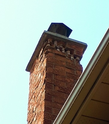 Bricks of chimney chipping off 