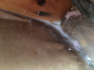 Frost on indoor wall behind the insulation on the 2nd floor room