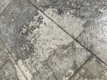 Tinting sealer on stamped concrete