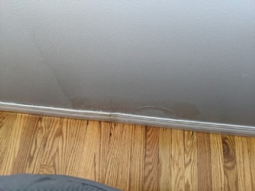 Drywall Moisture Issue around baseboard