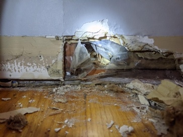 Drywall Moisture Issue around baseboard