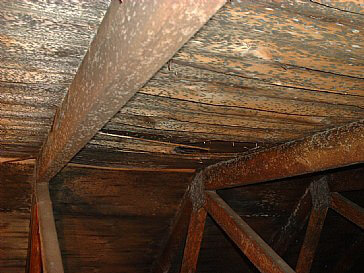 Big problem with mold in attic
