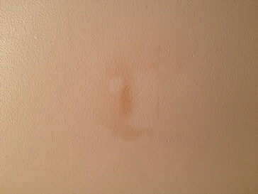 Possible Mold?  