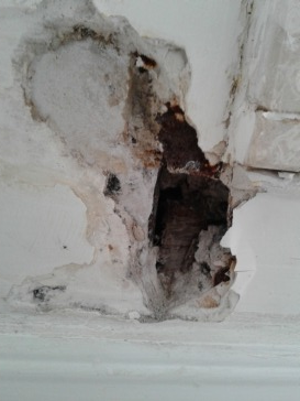 Hole in the drywall outside of the shower box