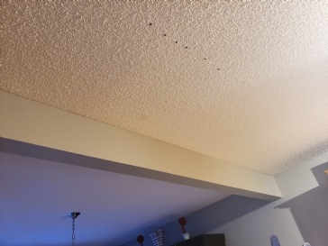 Finding Ceiling Studs