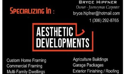 Aesthetic Developments Inc