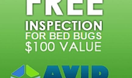 Avid Pest Services