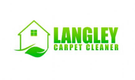 Langley Carpet Cleaner