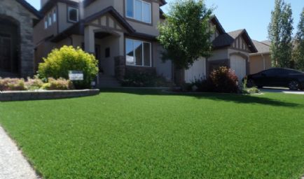 Perfect Turf - Vancouver