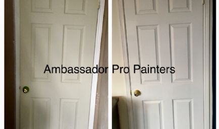 Ambassador Pro Painters