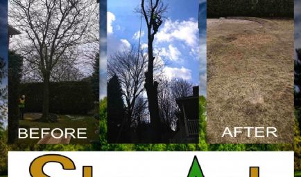 Stewart Services Tree & Hedge Care