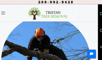 Tristan Tree Removal Inc