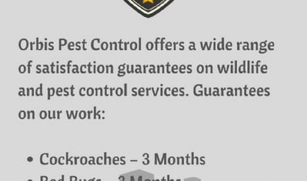 Orbis Pest Control