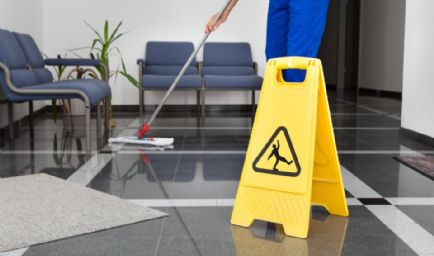 Blue Pine Janitorial Service