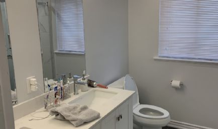 Bathroom Pro