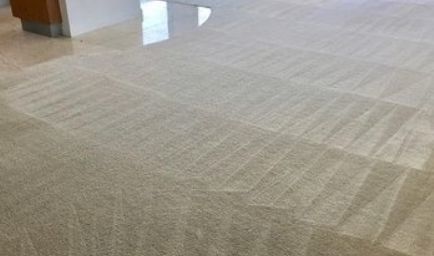 Adam Carpet Cleaning