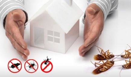 ACME Pest Solutions