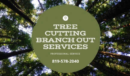 Tree Cutting Branch Out Services