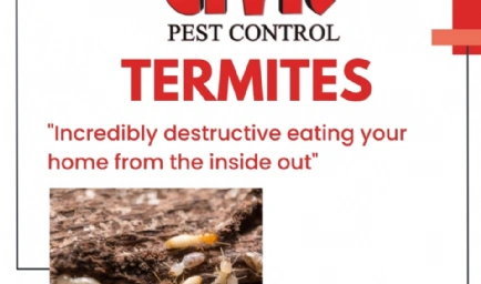 Civil Pest Control 