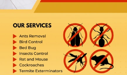 Pest Control Vaughan - Maple Pest Control