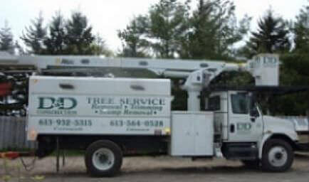 D and D Construction & Tree Service